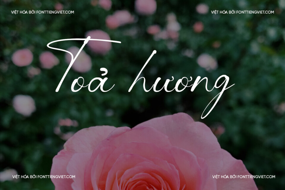 Font Việt hóa 1FTV VIP Lorenna Script