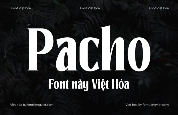 Font Việt hóa 1FTV Pacho