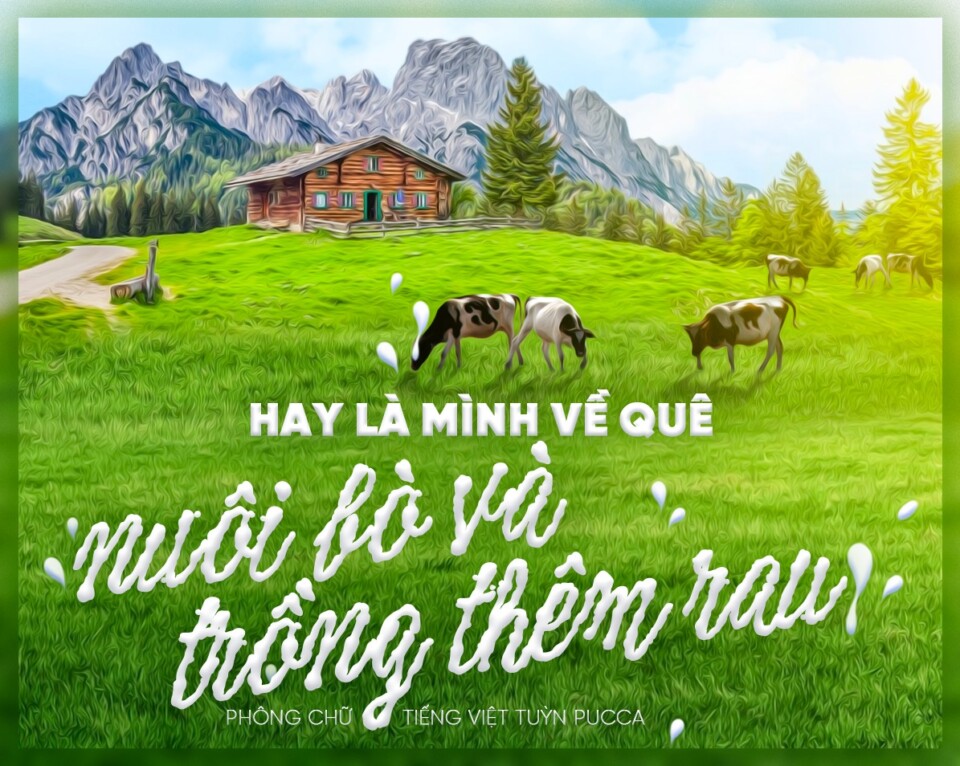 Font Việt hóa TP Liquida 1 Font Việt hóa TP Liquida