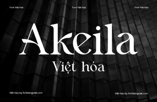 Font Việt hóa 1FTV VIP Akeila