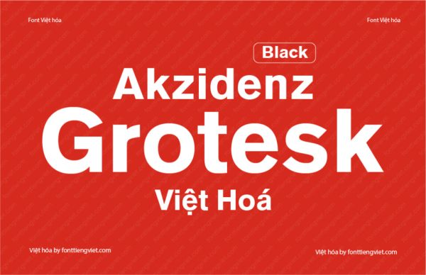 Font Việt hóa 1FTV VIP Akzidenz Grotesk Black