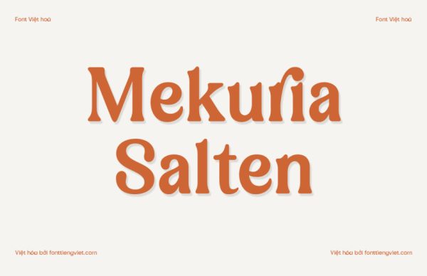 Font Việt hóa 1FTV VIP Mekuria Salten