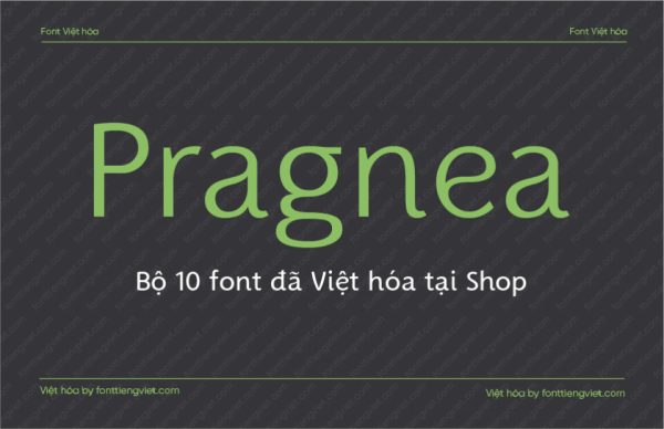 Font Việt hóa 1FTV VIP Pragnea Regular