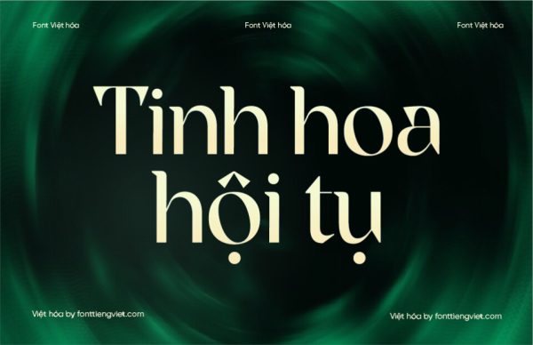Font Việt hóa 1FTV VIP Rogie