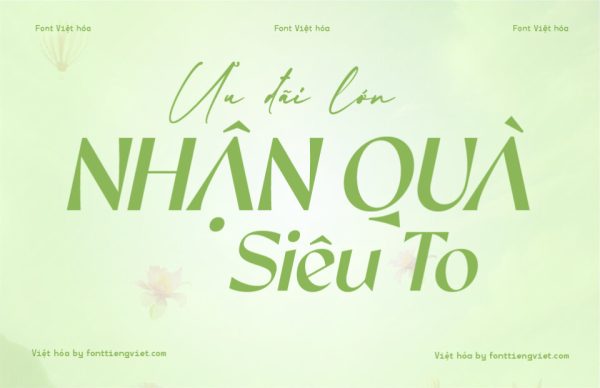 Font Việt hóa 1FTV VIP Sooner Iltalic