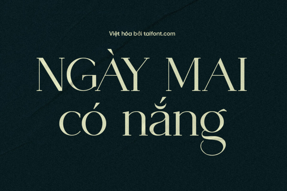 Font 1FTV VIP Vendya Việt Hóa – Font Có Chân Thanh Mảnh Sang Trọng 1 Font 1FTV VIP Vendya Việt Hóa – Font Có Chân Thanh Mảnh Sang Trọng