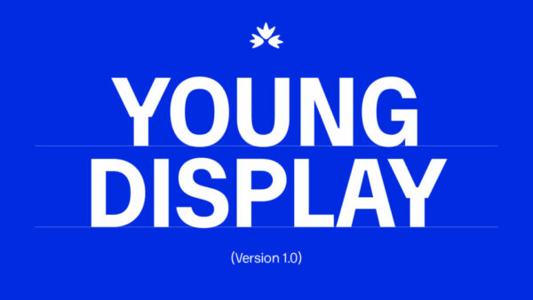 Font Tiếng Việt Young Display