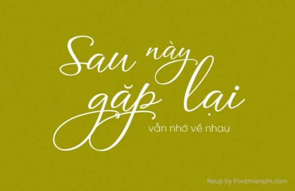 Font VL Agile Script Calligraphy Việt Hóa Miễn Phí