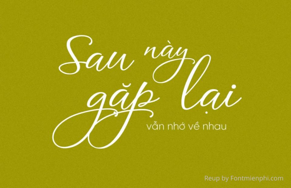 Font VL Agile Script Calligraphy Việt Hóa Miễn Phí 2026 1 Font VL Agile Script Calligraphy Việt Hóa Miễn Phí