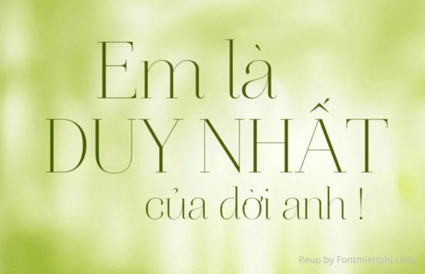Font VL Aire Roman Pro Việt Hóa Tuyệt Đẹp Tại Font Miễn Phí
