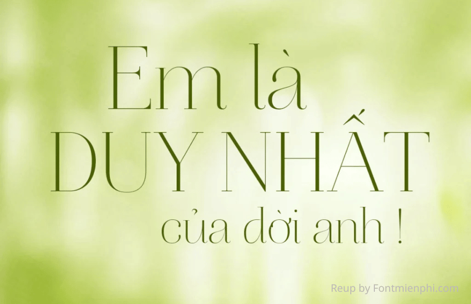 Font VL Aire Roman Pro Việt Hóa Tuyệt Đẹp Tại Font Miễn Phí 2 Font VL Aire Roman Pro Việt Hóa Tuyệt Đẹp Tại Font Miễn Phí