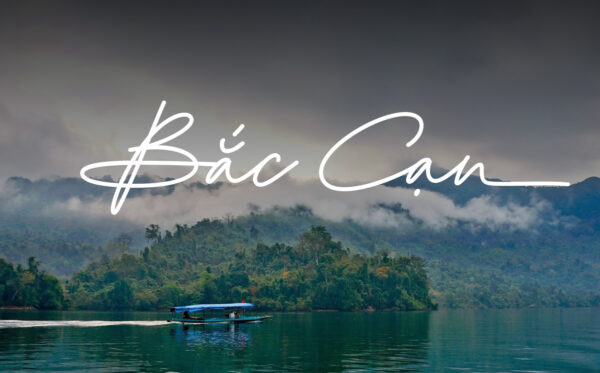 Font Chữ Ký TH The Billion Việt Hóa