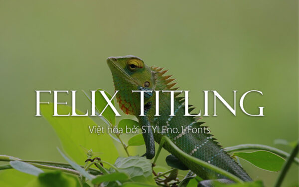 Font chữ thanh lịch, hiện đại, sang trọng dùng cho thiết kế thiệp cưới, thời trang, tạp chí SVN-Felix Titling