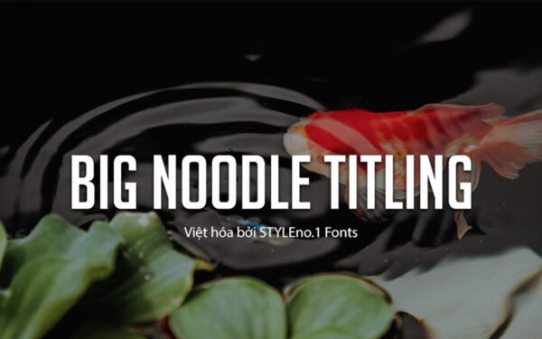 Font chữ thanh lịch, hiện đại, sang trọng dùng cho thiết kế thiệp cưới, thời trang, tạp chí SVN Big Noodle Titling