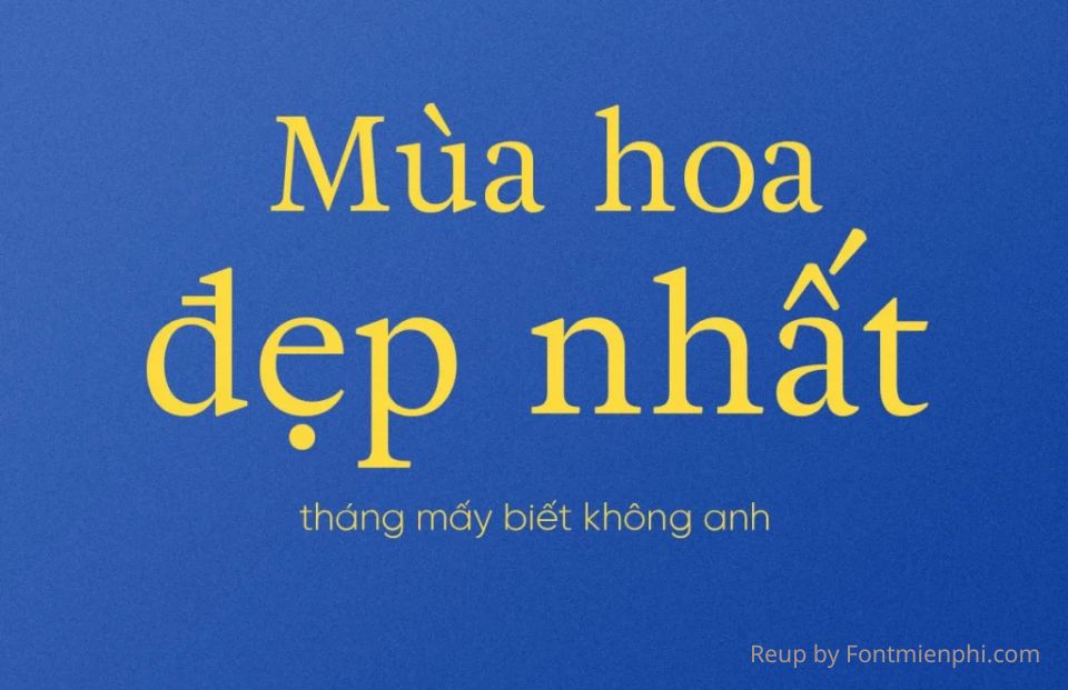 Font VL Adriane Text Việt Hóa Miễn Phí 1 Font VL Adriane Text Việt Hóa Miễn Phí