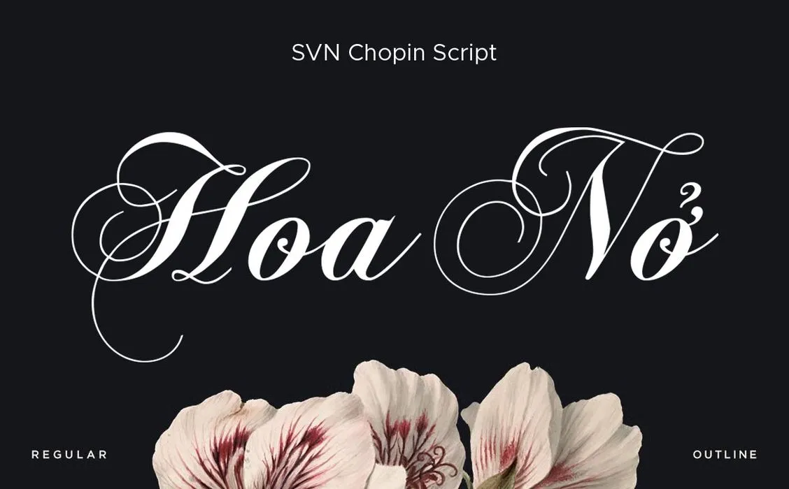 Phông chữ miễn phí viết tay SVN Chopin Script Việt hóa 1 Phông chữ miễn phí viết tay SVN Chopin Script Việt hóa