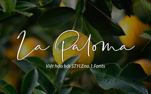 Font chữ viết tay mềm mại cho thiệp cưới, lễ cưới, chữ ký SVN-La Paloma