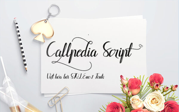 Font chữ viết tay, chữ ký mềm mại cho thiệp cưới, đám cưới SVN-Callpedia