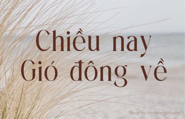 Font Việt hóa 1FTV VIP Eternalo – Nét Đẹp Sang Trọng, Vượt Thời Gian