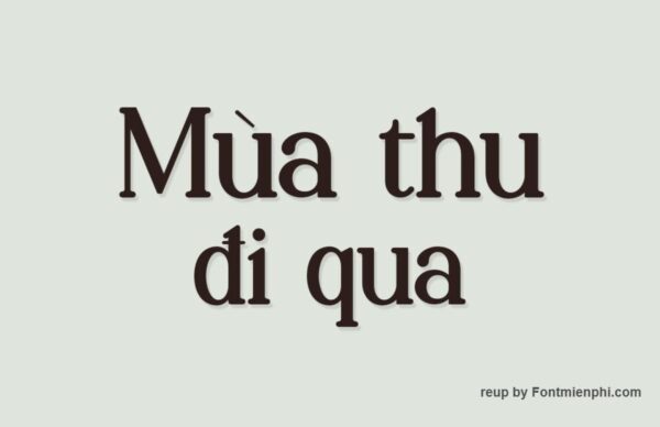 Font Việt hóa 1FTV VIP Palenk Radney