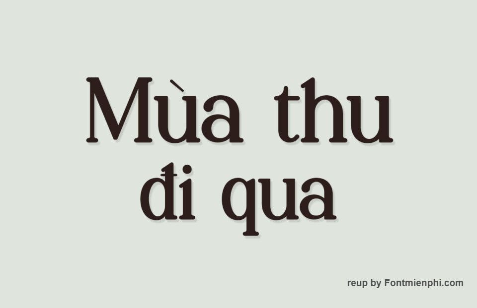 Font Việt hóa 1FTV VIP Palenk Radney 1 Font Việt hóa 1FTV VIP Palenk Radney
