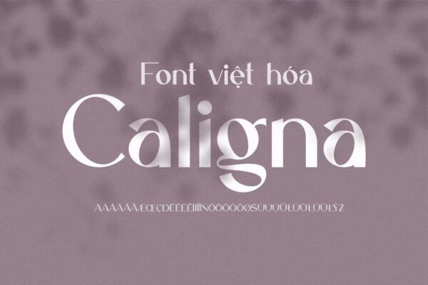 Font Caligna Việt Hóa Miễn Phí – Serif Độc Đáo, Hiện Đại Và Sang Trọng