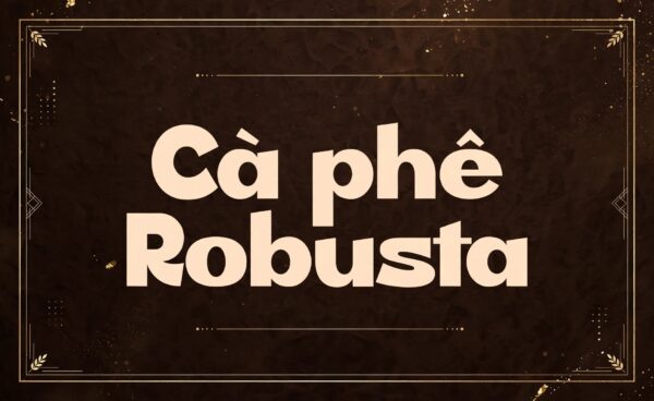 Demo font thời trang TH Rosela Việt hóa - chữ Cà phê Robusta nâu kem