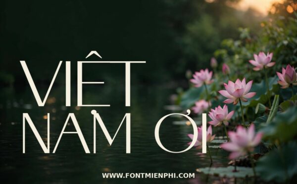 Font TH Saviera Việt Hóa – chữ thanh lịch hiện đại 