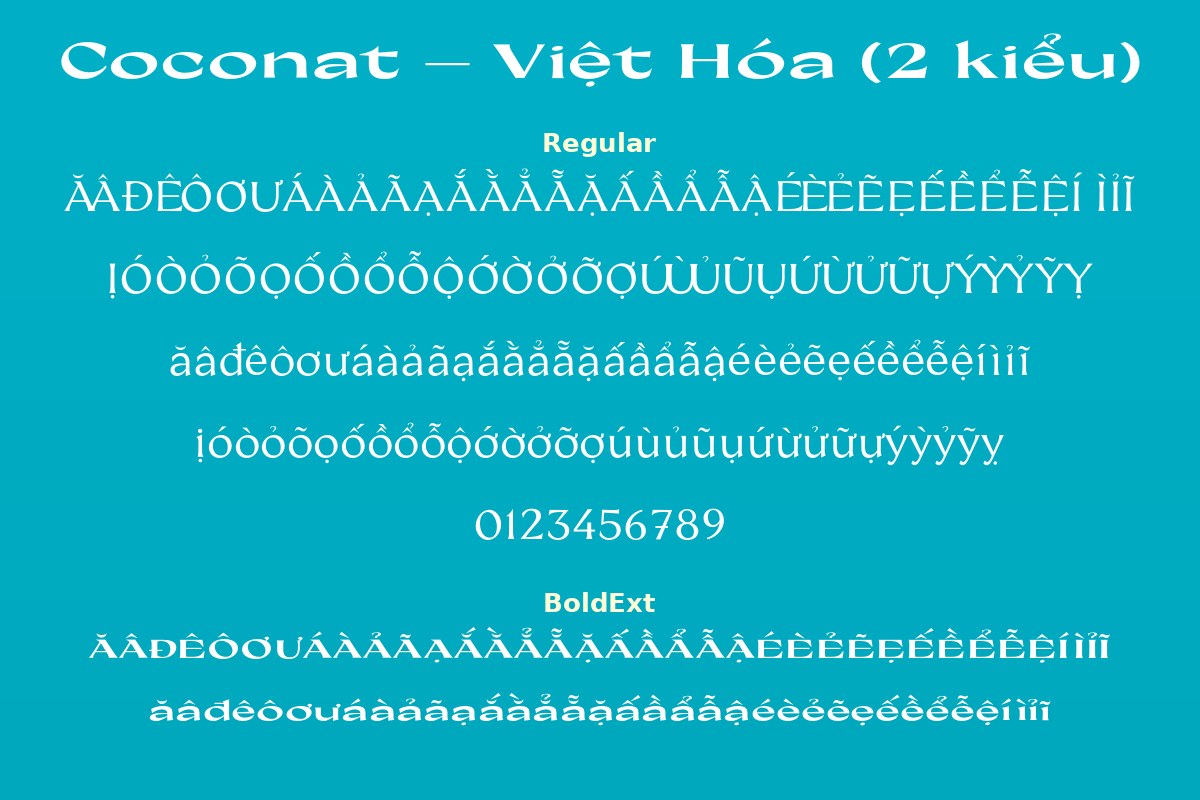 Font Coconat Việt Hóa Miễn Phí – 2 Kiểu Sans Serif Hiện Đại 3 font coconat việt hóa miễn phí