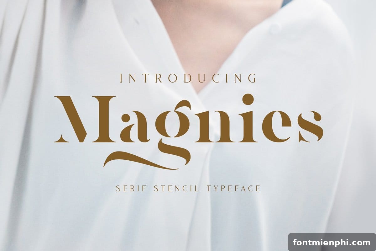 Font MTD Magnies Việt Hóa Miễn Phí – Serif Stencil Thanh Lịch Cho Logo, Thời Trang & Thiết Kế Cao Cấp 2 font mtd magnies việt hóa miễn phí