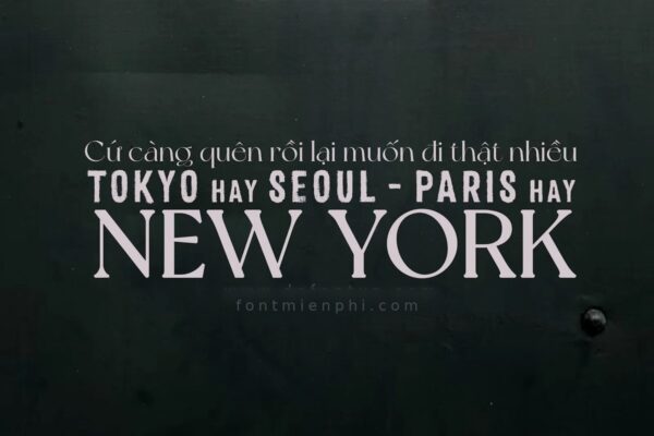 Font NewYork Typeface Việt Hóa Miễn Phí – Serif Hiện Đại Của Artem Nevsky