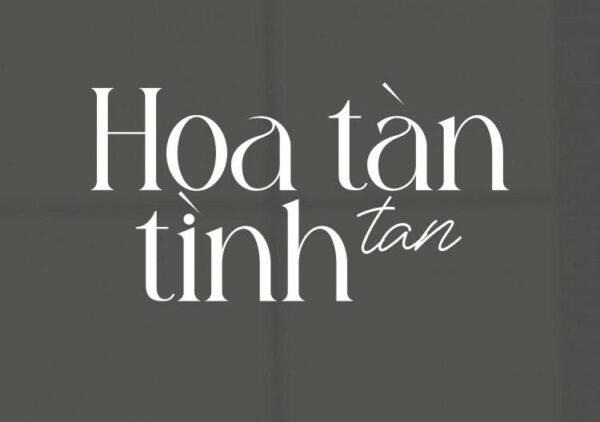 font việt hóa Sagire miễn phí