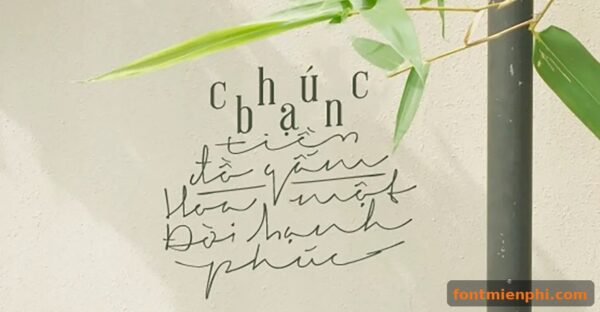 font signerica việt hóa miễn phí