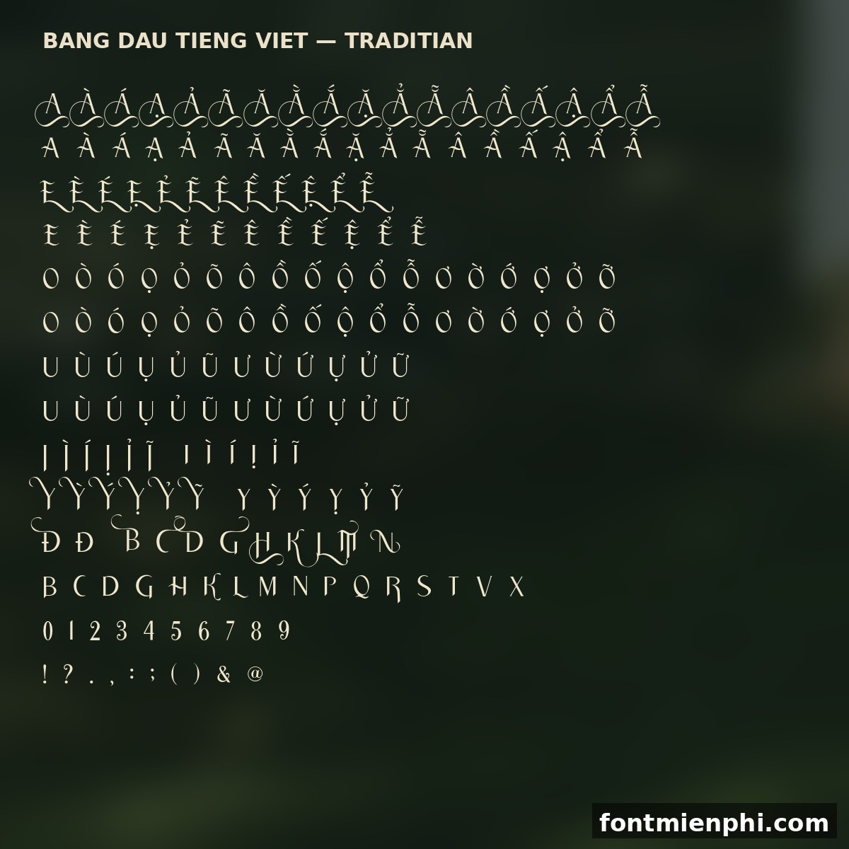 font traditian việt hóa miễn phí